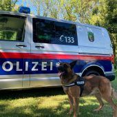 Einbrecher in Frastanz in flagranti erwischt