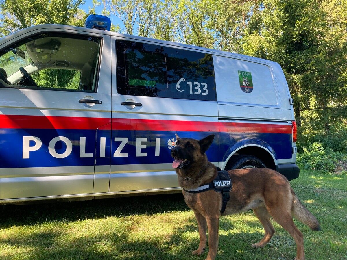 Mit im Einsatz war auch die Diensthundestreife der Polizei. SYMBOL/POLIZEI
