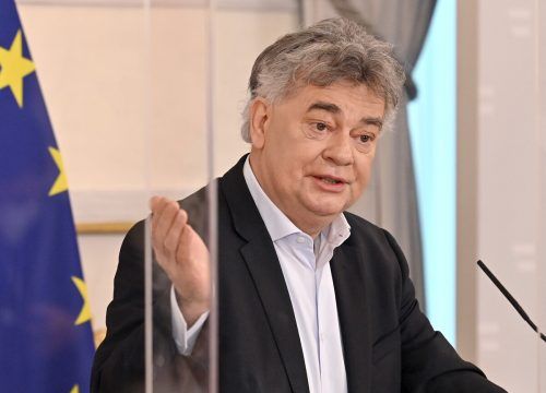 Vizekanzler Kogler versprach schon im Juni 2020 mehr Transparenz. APA