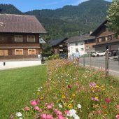 Aktiver Naturschutz durch „Bezauer Blühstreifen“