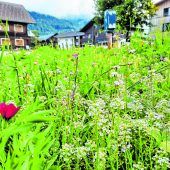 Bezau sorgt für blühende Gemeinde