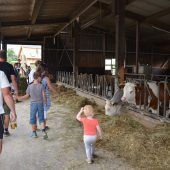 Am Zangerlhof wird gerockt