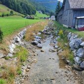 Fischretter vom Bregenzerwald