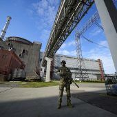 Atomkraftwerk vom Stromnetz genommen