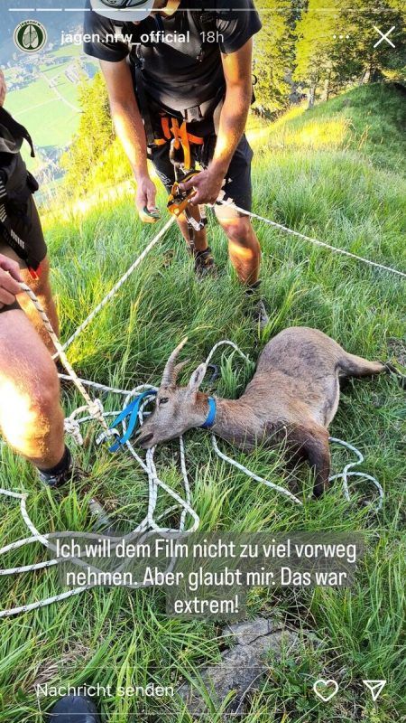 Die Geiß musste mit einem Seil geborgen werden. Screenshots