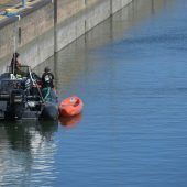 Hilfe für verirrten Wal in der Seine