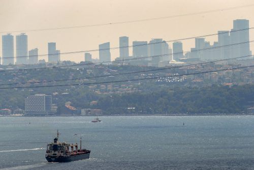 Der Frachter „Razoni“ mit ukrainischem Getreide an Bord hat am Mittwoch nach einer Inspektion in Istanbul die Freigabe zur Weiterfahrt in den Libanon erhalten.  AP