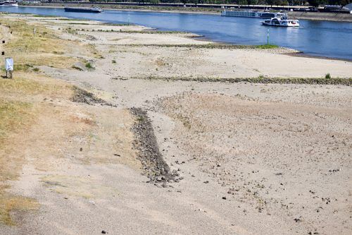 Der Rhein führt durch die lange Trockenheit immer weniger Wasser.  apa