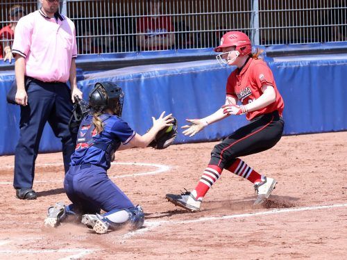 Die Dornbirner Softballerinnen sind ausgeschieden. VN