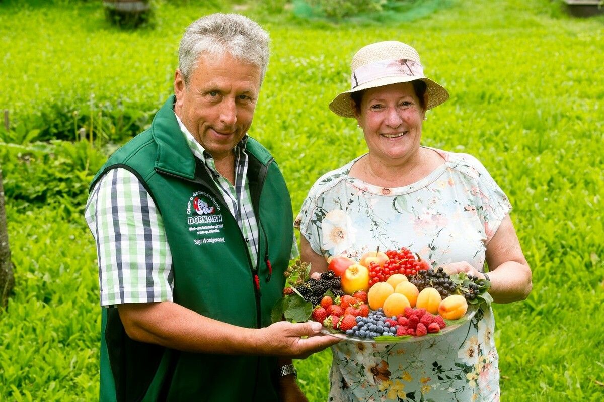 Im vergangenen Jahr konnten laut Obst- und Gartenkultur Vorarlberg (OGV) Hunderte Kilo Obst vermittelt werden. OGV