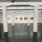 Flatz Museum zeigt Fotografien des Meisterfotografen Irving Penn
