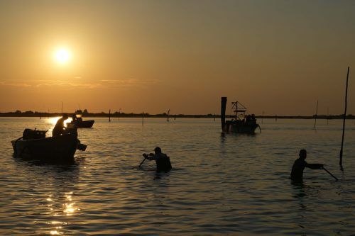 Die zunehmende Versalzung des Po-Deltas macht den Muschelzüchtern zu schaffen.  AP