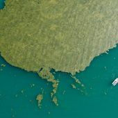 Algenteppiche trüben den Badespaß im Bodensee