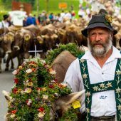 Drohbriefe und abgesagte Alpabtriebe