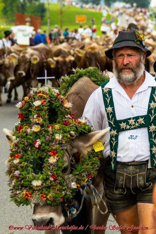 „Ein Viehscheid gehört zum Alpsommer dazu“, findet Herbert Fink. WGM