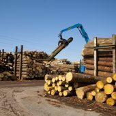 Holz mobilisieren