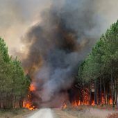 Flammen in Frankreich breiten sich rasant aus