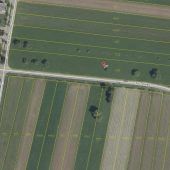 Landwirtschaftsfläche in Lustenau um 298.200 Euro verkauft
