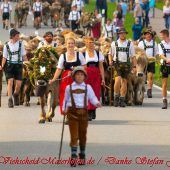 Älpler haben mit abgesagten Alpabtrieben und Drohbriefen zu kämpfen. »A7