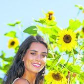 Sommer, Sonne, Sonnenblume