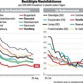 Ein neuer Blick auf die Pandemie