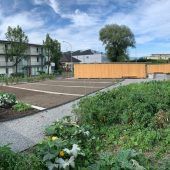 Im Gemeinschaftsgarten ist noch Platz