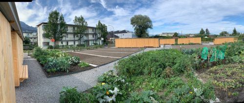 Im Gemeinschaftsgarten Niederbahn sind noch Gartenanteile zu haben. Stadt