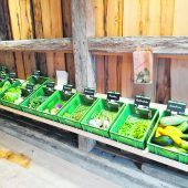 Bio, regional und saisonal