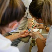 Erderwärmung fördert laut Studie Ausbreitung von Krankheiten