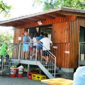 Begehbare Insel am Rheinholz