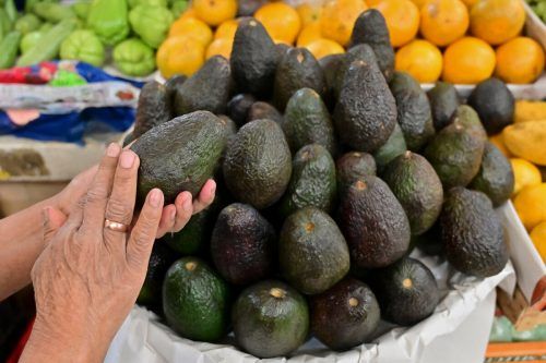 Sich ab und an eine Avocado einzuverleiben, kann nicht schaden, soll sie laut Studie doch von großem gesundheitlichen Nutzen sein. afp