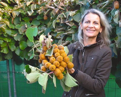 Die Künstlerin Rita Blum-Schenkenbach stellt ihre Kunstwerke im Obergeschoss der Alten Schule in Höchst aus.  VN