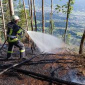 Forstexperte: „Der Wald dürstet“