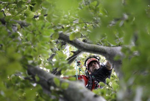 Agrargemeinschaften bewirtschaften Tausende Hektar Forst und Äcker in Vorarlberg.  Symbolbild Reuters