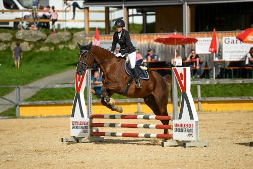 Am Wochenende steht in Langenegg der Pferdesport im Fokus. Waschbär