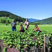 Misthaufen präsentieren sich in neuem Gewand