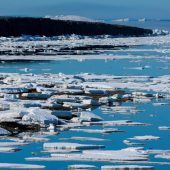 Arktis: Eisfläche weiter geschrumpft
