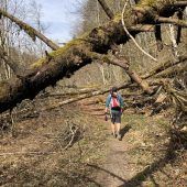 Rechtsexperten einig: Achtalradweg wäre ­eine riskante Angelegenheit. »A8