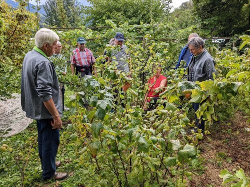 Der Obst- und Gartenbauverein veranstaltet des Öfteren Kurse, die sowohl von Vereinsmitgliedern als auch von Nichtmitgliedern besucht werden können. Vn/Tk