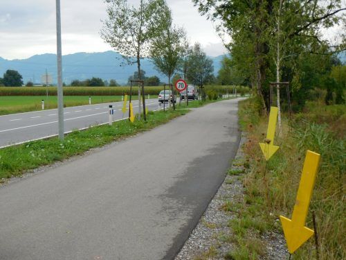 Die gelben Pfeile markieren Stellen, an denen achtlos Abfall weggeworfen wurde. mima