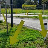 Gelbe Pfeile gegen das  Müllproblem