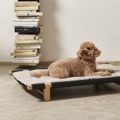 Auch Hunde mögen es gerne kuschelig