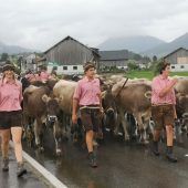 Menschen und Tiere kehren zurück ins Tal