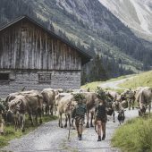 Die Kuhglocke, der Wettersegen und die Frage nach dem Mammon