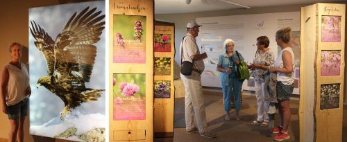 Evelyne Oberhauser und ihr Team laden noch bis 16. Oktober in die Ausstellung Bergwelt zum Sehen und Staunen ein.  STP/3