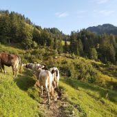 Alpsommer zu Ende