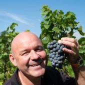 Klimawandel trifft auch Weinbauern
