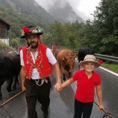 Alpabtrieb in Klösterle