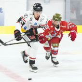 Pioneers verloren bei der Premiere mit 0:3