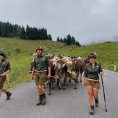 Emser Alptag